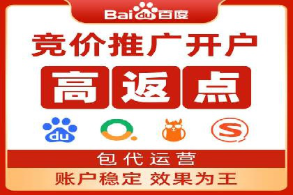 专业SEM托管助力企业快速成长案例分析